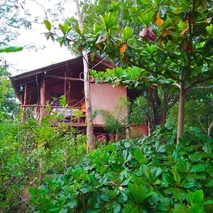 Alloggio in famiglia Akash Treehouse, Sigiriya